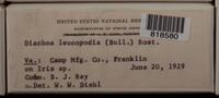 Image Associated With the Occurence
